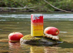 Red Bull Winter 2025 Fuji Apple & Ginger 12 x 250ml